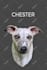 draw your pet into vector cartoon