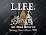 edit modify recreate remake resize fix logo repair revamp
