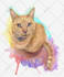 do a custom pet portrait, dog portrait, cat portrait