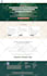 design redesign wordpress business website, build wordpress website development
