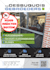 create full wordpress website