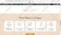 build wordpress elearning lms website with learndash tutor lms learnpress