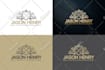do modern minimalist logo design in 24 hours