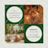 design yoga, meditation, wellness, retreat flyers, posters, brochures, etc
