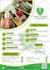 create flyer for sweet,fast,restaurant or your interest