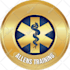 do logo design, gold seal, award seal, stamp, shield or web badge design