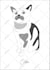 draw beautiful line art