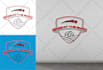 design professional 3d logo for your business