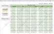 compose advanced excel formulas and automate excel with vba