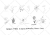 create custom line art illustration from any image