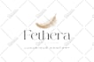 design a minimalist, feminine logo