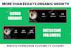 do super fast organic instagram growth