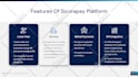 design professional powerpoint presentation or investor pitch deck