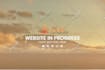 develop a responsive wordpress website with free logo