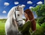 create stunning fantasy illustrations
