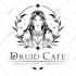 draw premium custom line art illustrations for your project