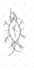 create a magical sigil just for you