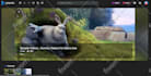 create wordpress blog website