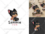create a cute kawaii for your brand
