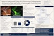 design medical, scientific, academic research poster