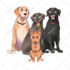 draw your pet in cute premium disney style