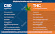 design professional web header, ad, and banner
