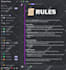 setup a professional discord server