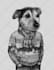 draw your pet in jacket