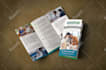 do professional home care, healthcare, medical, business brochure or flyer