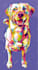 draw a photo of your pet in wpap pop art in less than 1 day
