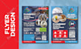design professional flyer posters and brochures
