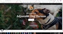 build high converting shopify dropshipping store or one product shopify website