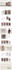 design or redesign shopify website, shopify dropshipping store