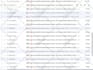 send bulk email to the targeted list