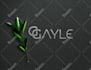 design pro favicon and app logo with brand kit