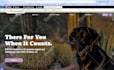 create, fix issues, update and maintain drupal website