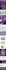 convert figma to wordpress, psd to wordpress, xd, ai to wordpress by elementor