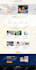 build,clone,redesign responsive wordpress website