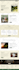 build a high converting wordpress website design, website development