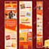 create divi, bricks builder, blocksy, gutenberg kadence website expert