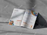 design catalog, portfolio, brochure etc using indesign