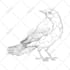 create an ink illustration