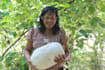 make natural village cooking video for your youtube