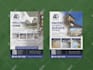 design professional flyers, bi fold, tri fold brochure