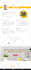 make professional website UI UX design