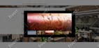 build wordpress website design and development