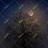 create 15 meditation relaxing nature video for youtube