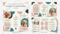 do professional bifold brochure, trifold brochure and catalog design