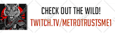 promote you on my twitch stream and social media