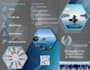 create a brochure, pamphlet, trifold, and bifold design